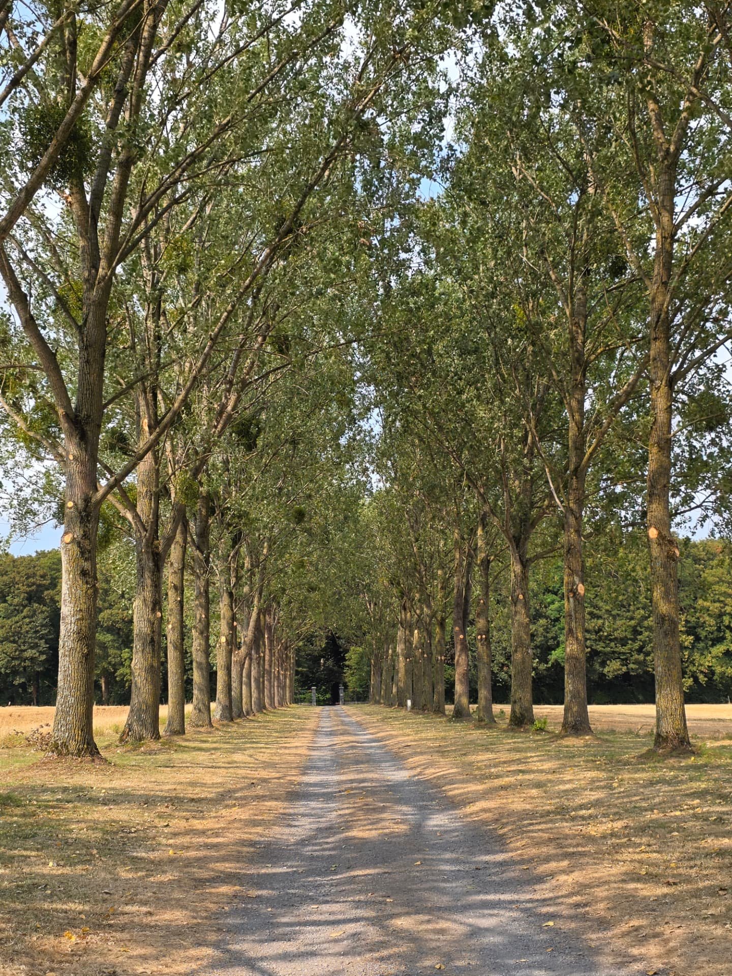 Miremont Estate — Qui sommes-nous ?